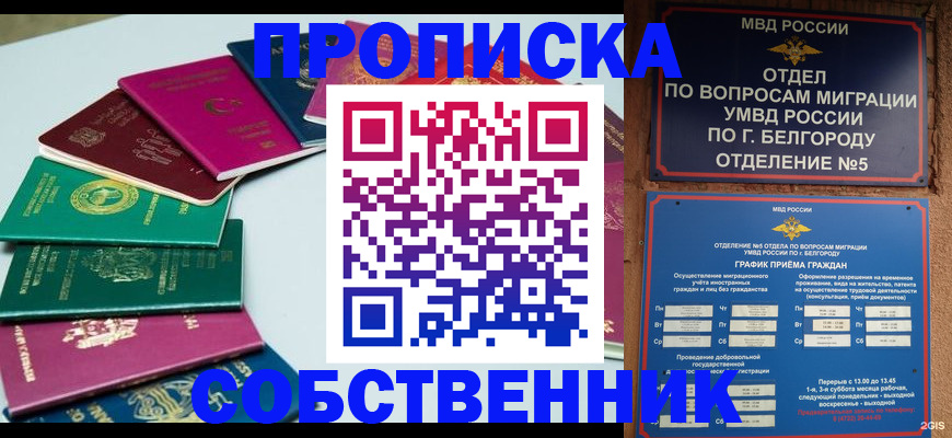 прописка гарантия в Великом Новгороде